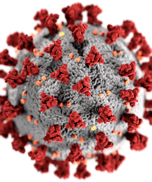 Vitamina D e Coronavirus