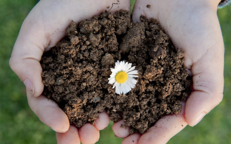 MELICUCCA’ (RC) – Distribuzione gratuita di compost per i cittadini e le aziende agricole.