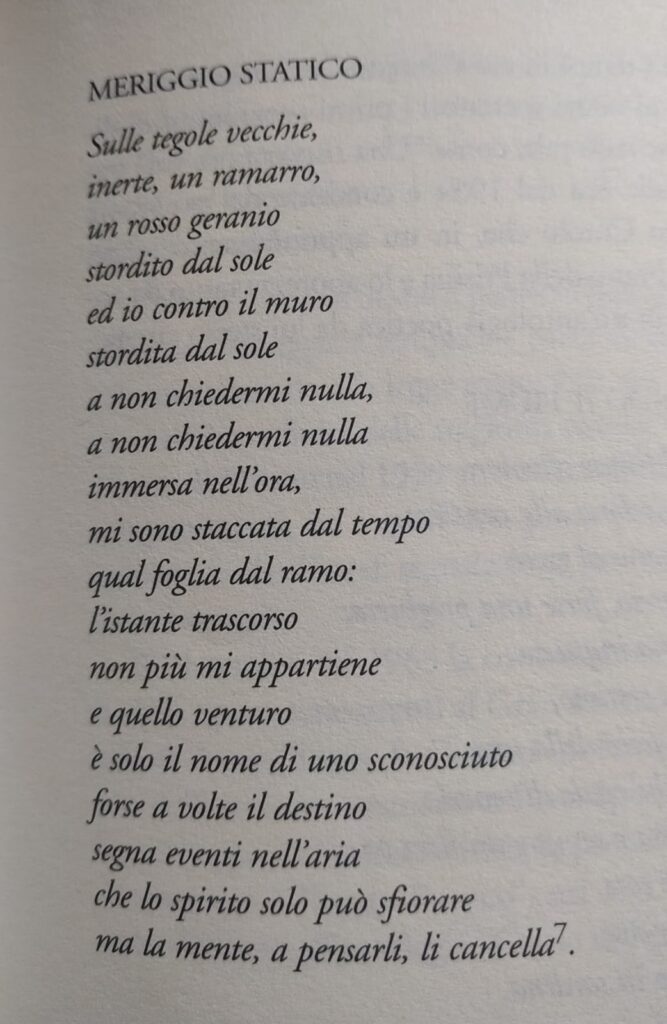 Immagine della poesia di Rosa Frisina dal titolo Meriggio Statico, contenuta nel libro omonimo