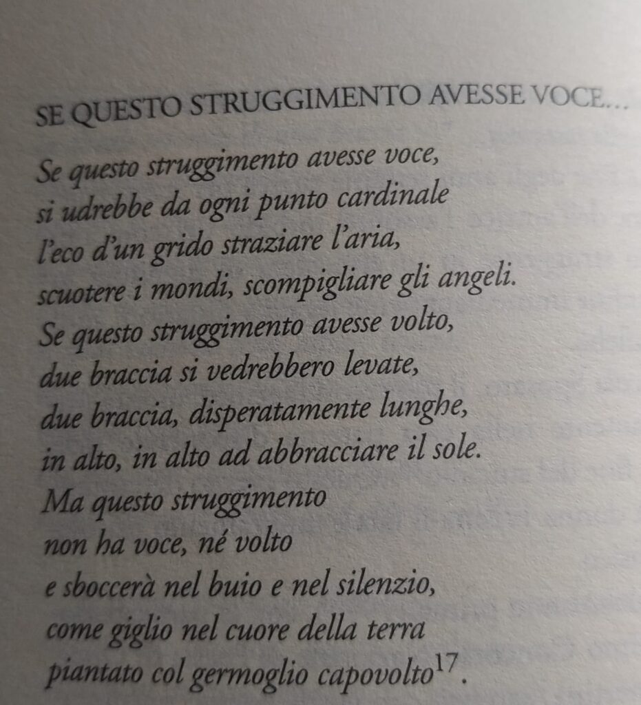 Poesia di Rosa Frisina dal titolo Se Questo Struggimento Avesse Voce