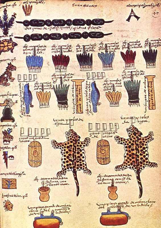 Interno del libro La vita degli Aztechi nel Codice Mendoza di Sebastiana Papa