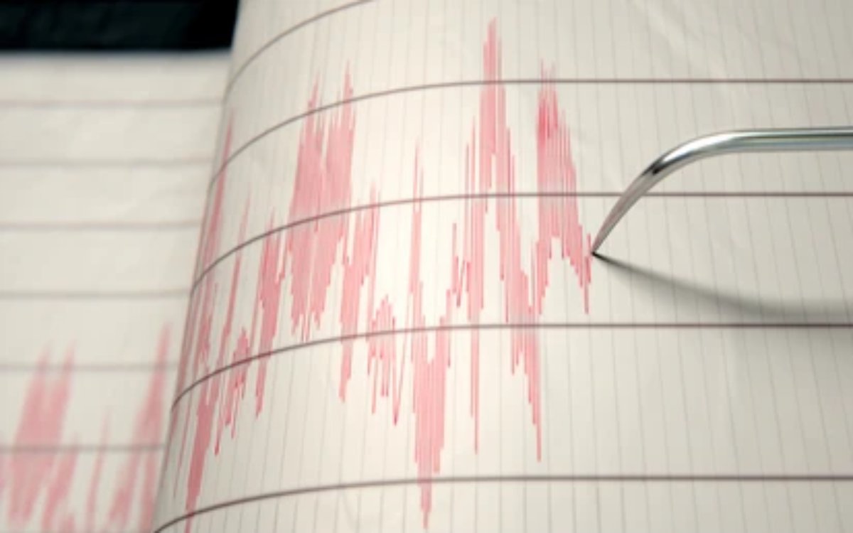 terremoti in calabria sismografo
