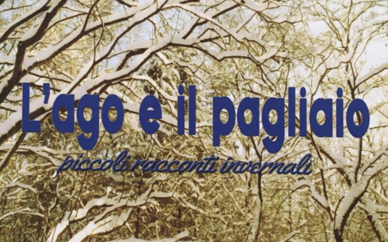 l'ago e il pagliaio di domenico antonio latino