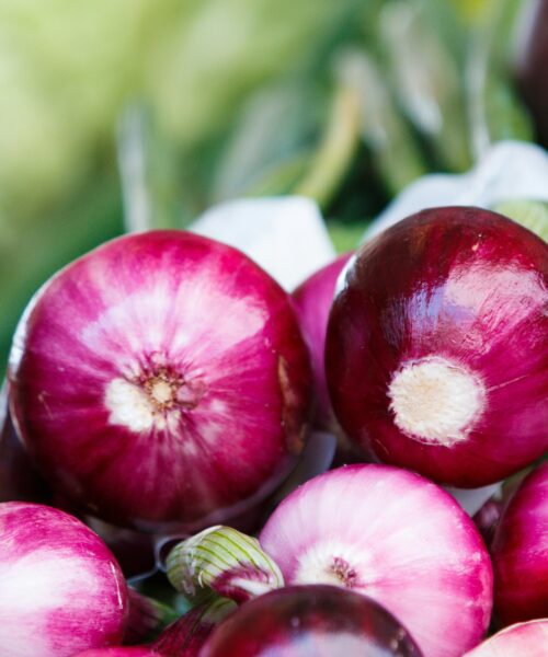 La cipolla rossa di Tropea: storia, caratteristiche e ricette